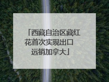 西藏自治区藏红花首次实现出口 远销加拿大