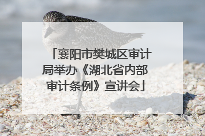 襄阳市樊城区审计局举办《湖北省内部审计条例》宣讲会