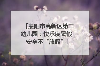 襄阳市高新区第二幼儿园：快乐度暑假 安全不“放假”