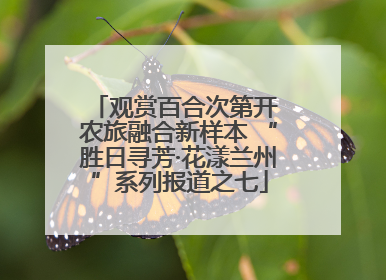 观赏百合次第开 农旅融合新样本 “胜日寻芳·花漾兰州”系列报道之七