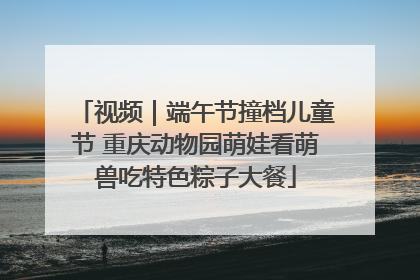 视频｜端午节撞档儿童节 重庆动物园萌娃看萌兽吃特色粽子大餐