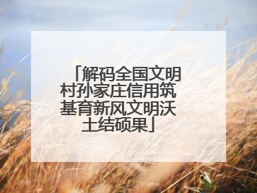 解码全国文明村孙家庄信用筑基育新风文明沃土结硕果