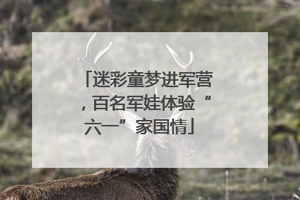 迷彩童梦进军营，百名军娃体验“六一”家国情