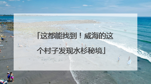 这都能找到！威海的这个村子发现水杉秘境