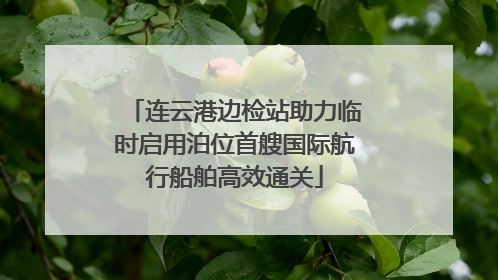 连云港边检站助力临时启用泊位首艘国际航行船舶高效通关