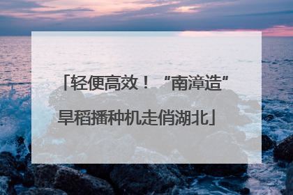 轻便高效！“南漳造”旱稻播种机走俏湖北