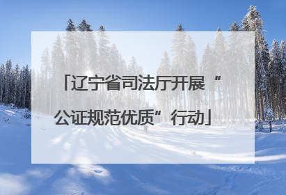辽宁省司法厅开展“公证规范优质”行动