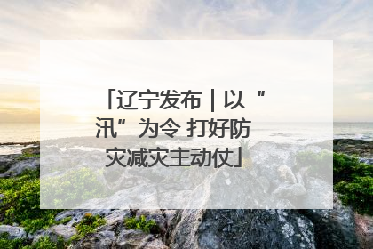 辽宁发布｜以“汛”为令 打好防灾减灾主动仗