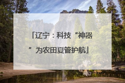 辽宁：科技“神器”为农田夏管护航