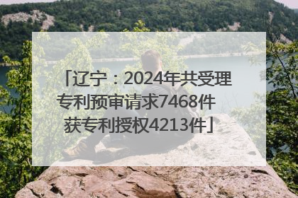 辽宁：2024年共受理专利预审请求7468件 获专利授权4213件