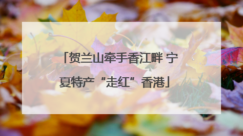 贺兰山牵手香江畔 宁夏特产“走红”香港