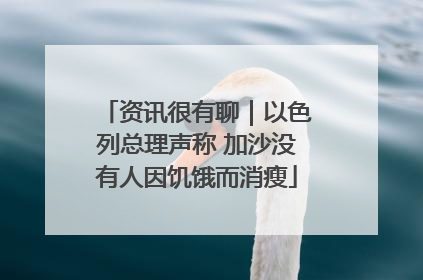 资讯很有聊｜以色列总理声称 加沙没有人因饥饿而消瘦