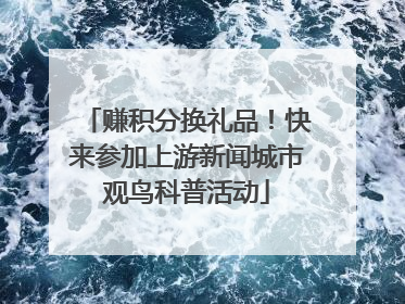 赚积分换礼品！快来参加上游新闻城市观鸟科普活动
