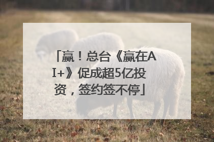 赢！总台《赢在AI+》促成超5亿投资，签约签不停