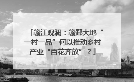 赣江观澜：赣鄱大地“一村一品”何以推动乡村产业“百花齐放”？