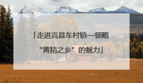 走进嵩县车村镇—领略“黄精之乡”的魅力