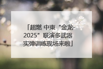 超燃 中柬“金龙-2025”联演多武器实弹训练现场来啦
