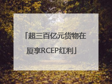 超三百亿元货物在厦享RCEP红利