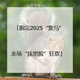 跑完2025“紫马” 来场“抹黑脸”狂欢