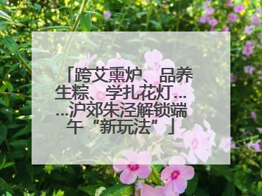 跨艾熏炉、品养生粽、学扎花灯……沪郊朱泾解锁端午“新玩法”