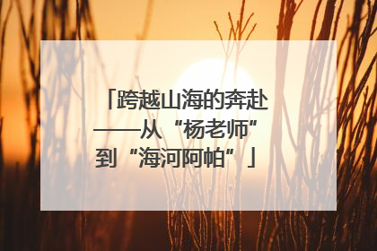 跨越山海的奔赴——从“杨老师”到“海河阿帕”