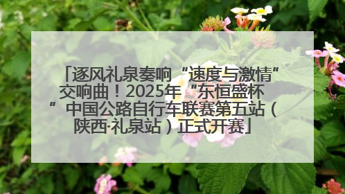 逐风礼泉奏响“速度与激情”交响曲！2025年“东恒盛杯”中国公路自行车联赛第五站（陕西·礼泉站）正式开赛