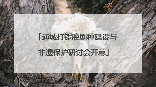 通城打锣腔剧种建设与非遗保护研讨会开幕