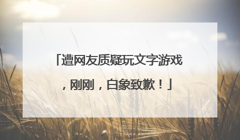遭网友质疑玩文字游戏，刚刚，白象致歉！