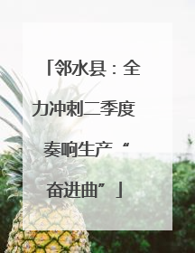 邻水县：全力冲刺二季度 奏响生产“奋进曲”