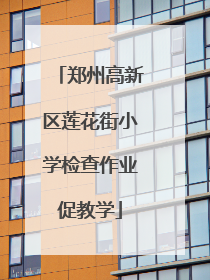 郑州高新区莲花街小学检查作业促教学