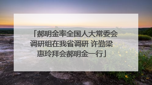 郝明金率全国人大常委会调研组在我省调研 许勤梁惠玲拜会郝明金一行