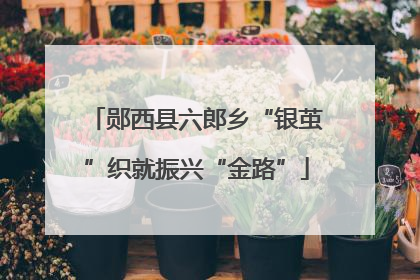 郧西县六郎乡“银茧”织就振兴“金路”