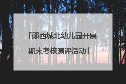郧西城北幼儿园开展期末考核测评活动