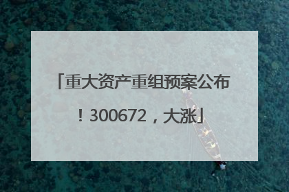 重大资产重组预案公布！300672，大涨