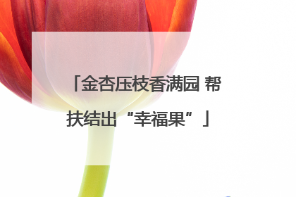 金杏压枝香满园 帮扶结出“幸福果”