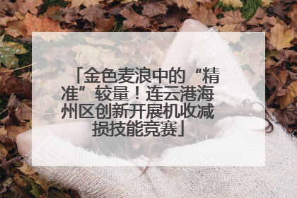 金色麦浪中的“精准”较量！连云港海州区创新开展机收减损技能竞赛