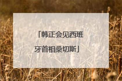 韩正会见西班牙首相桑切斯