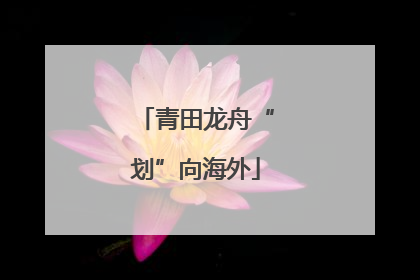 青田龙舟“划”向海外