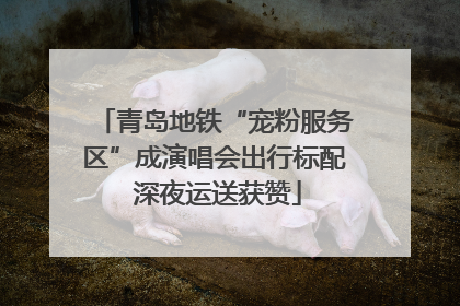 青岛地铁“宠粉服务区”成演唱会出行标配 深夜运送获赞