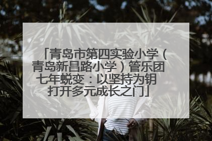 青岛市第四实验小学(青岛新昌路小学)管乐团七年蜕变:以坚持为钥 打开多元成长之门