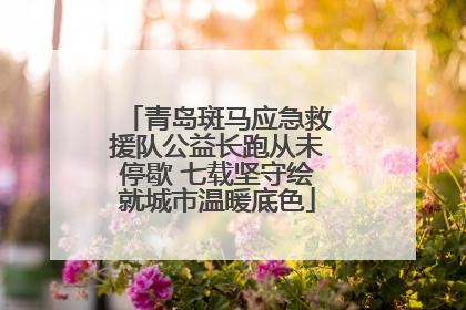 青岛斑马应急救援队公益长跑从未停歇 七载坚守绘就城市温暖底色