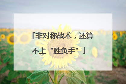 非对称战术，还算不上“胜负手”