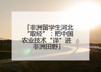 非洲留学生河北“取经”：把中国农业技术“译”进非洲田野
