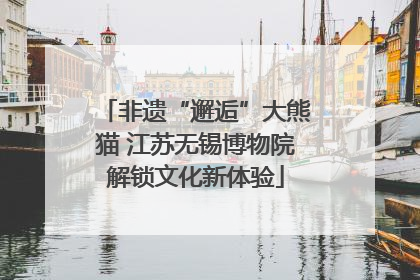 非遗“邂逅”大熊猫 江苏无锡博物院解锁文化新体验