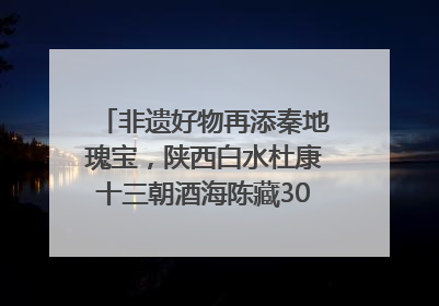 非遗好物再添秦地瑰宝，陕西白水杜康十三朝酒海陈藏30年别具一格