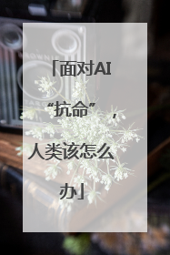 面对AI“抗命”，人类该怎么办