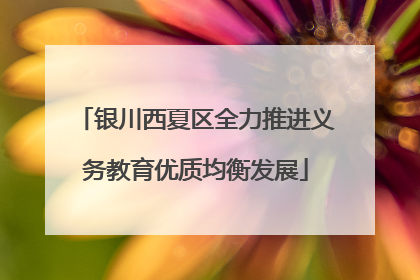 银川西夏区全力推进义务教育优质均衡发展