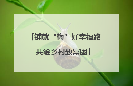 铺就“梅”好幸福路 共绘乡村致富图