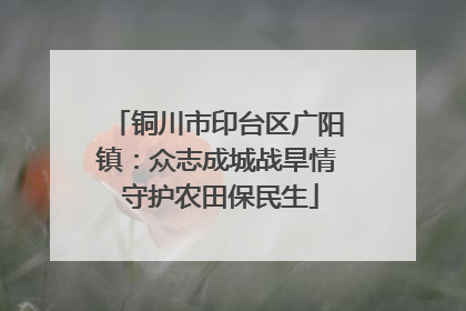铜川市印台区广阳镇：众志成城战旱情 守护农田保民生