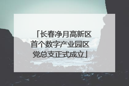 长春净月高新区首个数字产业园区党总支正式成立